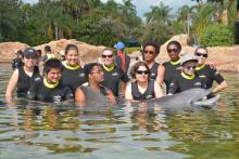 a group of transition students in the water gathered around a dolphin