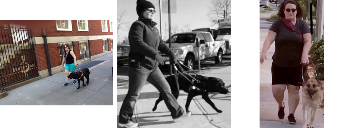 a composite image of 3 images of Elaine walking with her guide dogs outside along the sidewalk