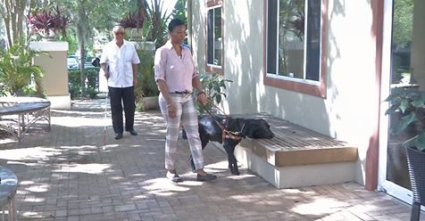 Sophia walking with her guide dog in front of the Lighthouse Central Florida building