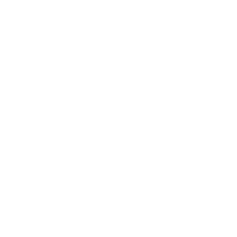 a graphical icon of the earth with a swoosh arrow circling it signifying global communications