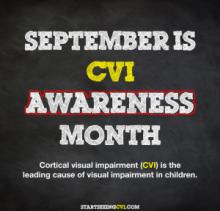September is CVI Awareness Month - written with chalk on a chalkboard